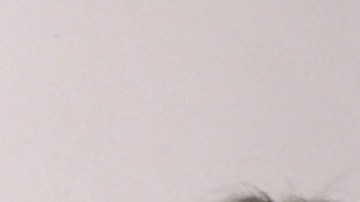 Elizabeth Hurley y Brendan Fraser