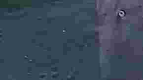 Mujer cambia radicalmente su apariencia tras divorcio y conquista Tinder