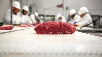 Imagen de un pedazo de carne en una línea de producción y de personas con batas blancas y cascos blancos.