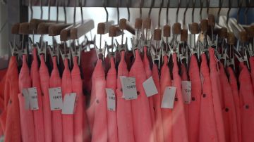 Imagen de varios pantalones de color rosa colgados en un riel de vestidor.