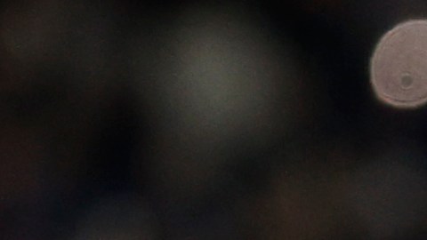 Gerard Piqué saludando a las gradas del Camp Nou en su último partido como profesional.