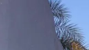 Gadamés está perfectamente diseñado para el duro clima del norte del Sáhara.