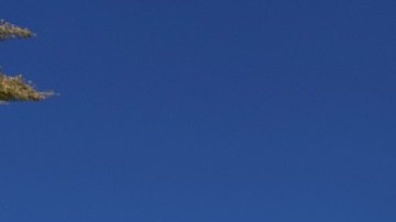 Imagen de un letrero de venta de vivienda frente a dos casas, en medio de un jardín con pasto.