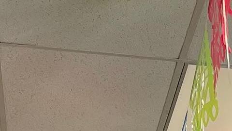 Miles ya han emitido su voto en el condado de Los Ángeles.