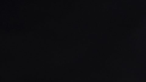 Luna nueva de noviembre