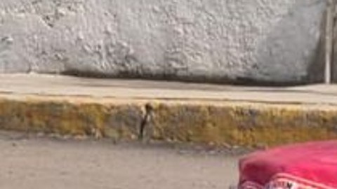 recipiente abandonado en Guanajuato