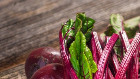 Incluir la remolacha en tu dieta puede traer grandes beneficios a tu salud