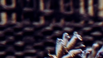 Rituales del Feng Shui luna nueva