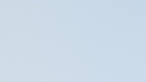 suplementos para fortalecer el sistema inmune