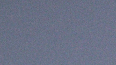Twitter Blue