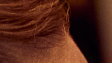 Thanksgiving rituales