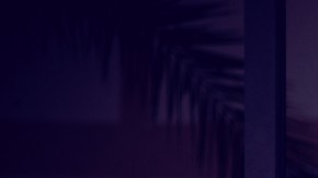 Imagen de un trabajador que está en el suelo con las manos en la cabeza.