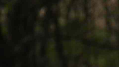 Niño visita tumba de su madre sólo para mostrarle sus calificaciones