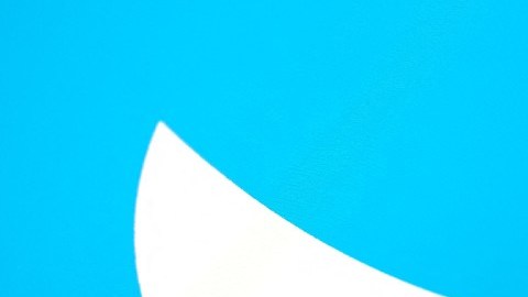 Una mano sostiene un teléfono en el que se ve el perfil de Elon Musk de la red social Twitter y en el fondo el logotipo de la compañía.