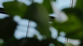 Imagen del logotipo de la red social Twitter en color azul en el muro de una de sus oficinas.