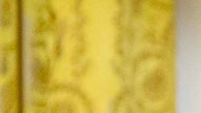 Michael Flynn ya se presentó para declarar en Georgia