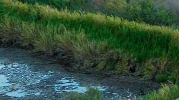 El gobernador saliente de Arizona envió otros contenedores para construir 10 millas más.