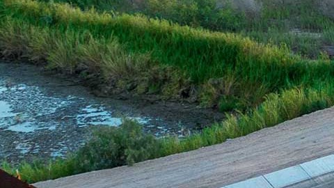 El gobernador saliente de Arizona envió otros contenedores para construir 10 millas más.