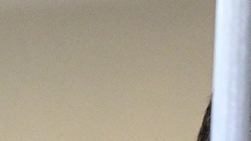 Paul Whelan casi cumple cuatro años en una cárcel en Rusia.