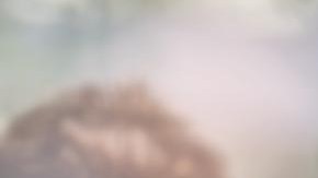 Lake seguirá luchando por los resultados de las elecciones intermedias.