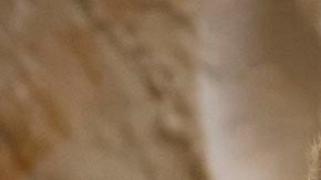 La tensión entre Mitch McConnell y Kevin McCarthy es cada vez es más fuerte.