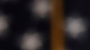 Adam Kinzinger dio un fuerte discurso como despedida del Congreso.