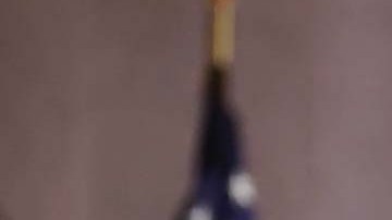 La presentadora aparecía en el horario estelar de la cadena de televisión.