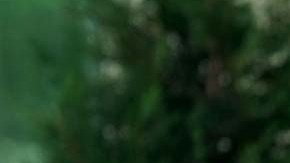 John Bolton afirma que hay más republicanos para ser candidatos presidenciales en 2024.