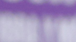 Luis de la Fuente durante una rueda de prensa.