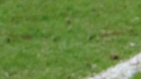 Sulemana (derecha) fue el más rápido de la fase de grupos y del torneo.
