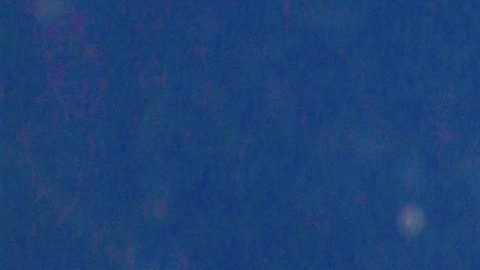 Bad Bunny anuncia su retiro | Mezcalent.