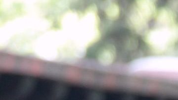 Sandra Echeverría quiere hacer otra bioserie | Mezcalent.