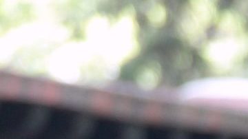 Sandra Echeverría quiere hacer otra bioserie | Mezcalent.