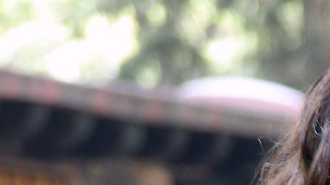 Sandra Echeverría quiere hacer otra bioserie | Mezcalent.