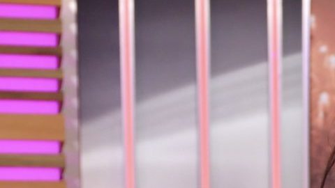 Sandra Echeverría manda mensaje a Ángela Aguilar | Mezcalent.