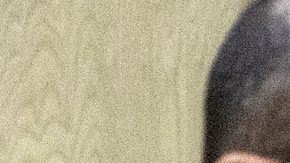 Pablo Lyle recibe mucha ayuda | Mezcalent.