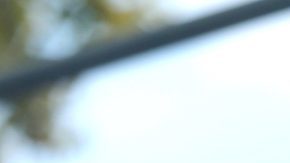 Camilo estrena documental - Mezcalent.