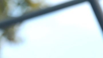 Camilo estrena documental - Mezcalent.