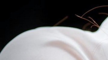 Aracely Arámbula vive irreparable pérdida | Mezcalent.