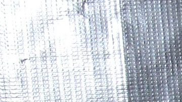 Laura Zapata posó al natural desde la tina de baño.