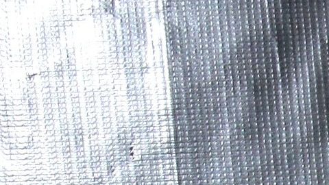 Laura Zapata posó al natural desde la tina de baño.