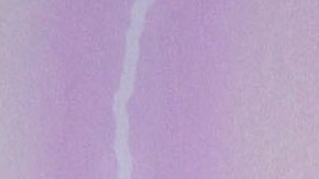 Michelle Renaud y Matías Novoa.