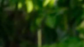 Pedro Castillo | "Humillado, incomunicado, maltratado y secuestrado": la primera reacción pública del expresidente de Perú tras su destitución