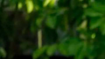 Pedro Castillo | "Humillado, incomunicado, maltratado y secuestrado": la primera reacción pública del expresidente de Perú tras su destitución