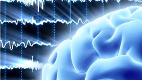 El "cerebro cuántico", la audaz teoría que puede ayudar a resolver el misterio de cómo surge la conciencia humana