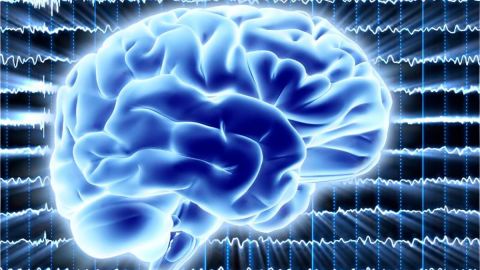 El "cerebro cuántico", la audaz teoría que puede ayudar a resolver el misterio de cómo surge la conciencia humana