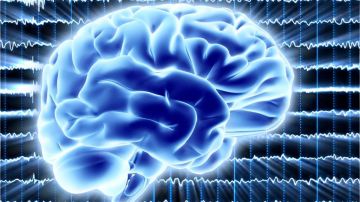 El "cerebro cuántico", la audaz teoría que puede ayudar a resolver el misterio de cómo surge la conciencia humana