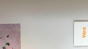 Cómo son los supermercados para pobres en Suecia y por qué han tenido tanto éxito en un país rico