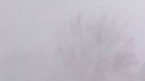 Bomba ciclónica en EE.UU.: decenas de muertos tras la gran helada que se apodera de América del Norte