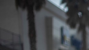 11 millones de peregrinos visitaron la Basílica de Guadalupe en Ciudad de México para festejar a la Virgen morena